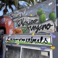 Mural  at Comet 984 in Playa Del Carmen