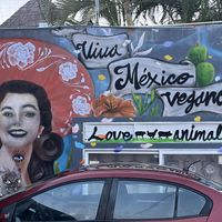   at Comet 984 in Playa Del Carmen