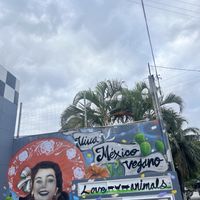   at Comet 984 in Playa Del Carmen