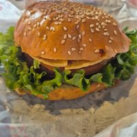  at Comet 984 in Playa Del Carmen