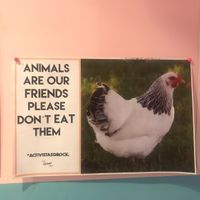 Bathroom at Comet 984 in Playa Del Carmen