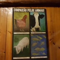 quadrinho at Cravo e Canela in Alto Paraiso