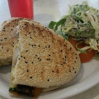 Roasted vegetables and vegan cheese panini with vegan coleslaw  at Cafe 50 in Yeovil
