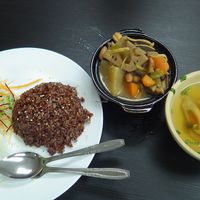 Curry and rice at Vege Pot 素砂煲 in Central Singapore