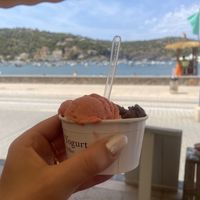   at Petit Cafe Frozen Yogurt in Mallorca