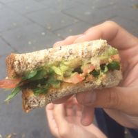 sandwich (avocado smash, tomato, spinach) at Pumpkin Brown in Edinburgh