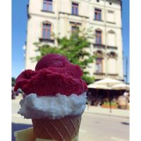   at Si Gela in Krakow