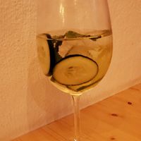 Vin Tonic at Estudio Vegetariano in Lagos