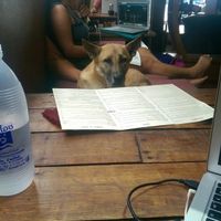 date  at Coconut Monkey in Koh Tao