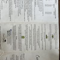   at Coconut Monkey in Koh Tao