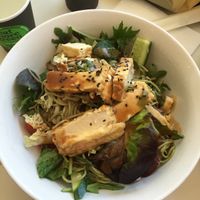 The Tokyo Classic with Tofu at Banana Blossom in Manly