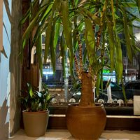 inside  at Anh Dao in Berlin