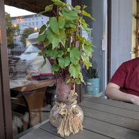  at Anh Dao in Berlin