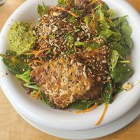 Llama bowl at Urban Herbivore - Kensington Market in Toronto