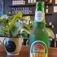 Ginger beer   at Graze in Nashville