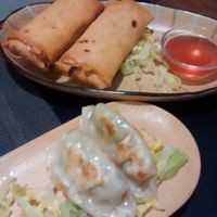 veggie guotie and spring rolls at DimSum Market in Madrid
