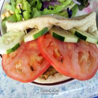 The Veggie Greek - falafel folded in a pita with cucumber, tomato and cucumber-dill sauce, with a Greek side salad. at Good Harbor Grill in Glen Arbor