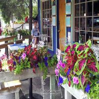 Outdoor Seating at Good Harbor Grill in Glen Arbor