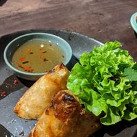 Nem vuong - tasty but pretty oily at Uu Dam Chay in Hanoi