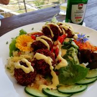 Salatteller mit Linsenfalafeln at VeBistro in Wittersheim