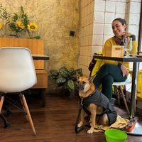  at 269 Gastro Vegan in Salamanca