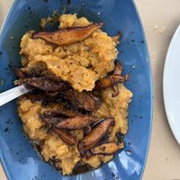   at 269 Gastro Vegan in Salamanca