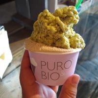 Pistachio, and ginger & cinnamon vegan gelato at Puro & Bio in Sevilla