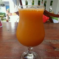 orange sun juice  at Greenlight Cafe & Bar in Koh Samui