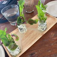Pesto rolls  at Greenlight Cafe & Bar in Koh Samui