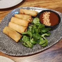 Spring rolls at Tampopo in Manchester