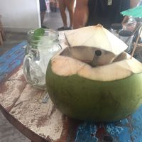 young coconut at The Spicy Coconut in Seminyak