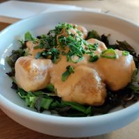 Dynamite tofu bites at Oburus Momus in Kas