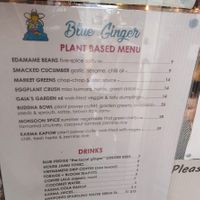 vegan menu at Blue Ginger in Whitianga