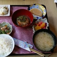 Shonji at Shanti Yoga Vegan Cafe in Hiroshima