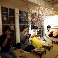 cherry blossom at Shanti Yoga Vegan Cafe in Hiroshima