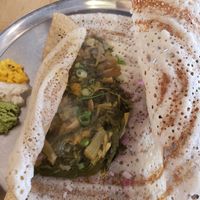 Green dosa - filled with mangold and other delicious cooked vegis at Dosa Bar in Tel Aviv