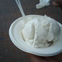 Coconut ice cream in a cup. One scoop at Scoop Microcreamery in Palo Alto