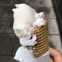 jogurt + chalwa bananowa at Vegestacja in Warsaw