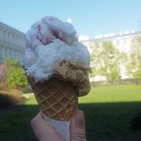 Yoghurt and berries, coconut, and salted caramel  at Vegestacja in Warsaw
