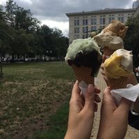 the best ice creams I've ever tried in my entire life  at Vegestacja in Warsaw