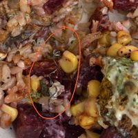 Metal found in food  at Happy + Hale in Durham