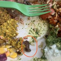 Beef found in VEGAN bowl  at Happy + Hale in Durham