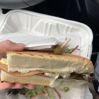 Cubano at Berben & Wolff's in Albany