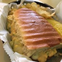 Cubano!  at Berben & Wolff's in Albany