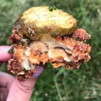 Hot Oyster Mushrooms at Berben & Wolff's in Albany