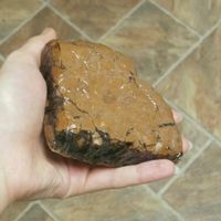 Their DELICIOUS brownie, honestly the best I've had at Berben & Wolff's in Albany