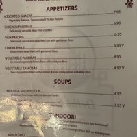 Vegan items labeled with V  at Delhi Palace in Flagstaff