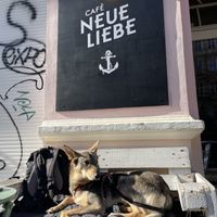  at Cafe Neue Liebe in Berlin