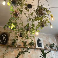   at Cafe Neue Liebe in Berlin