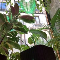 Plants galore!  at Sanissimo - Opera in Madrid